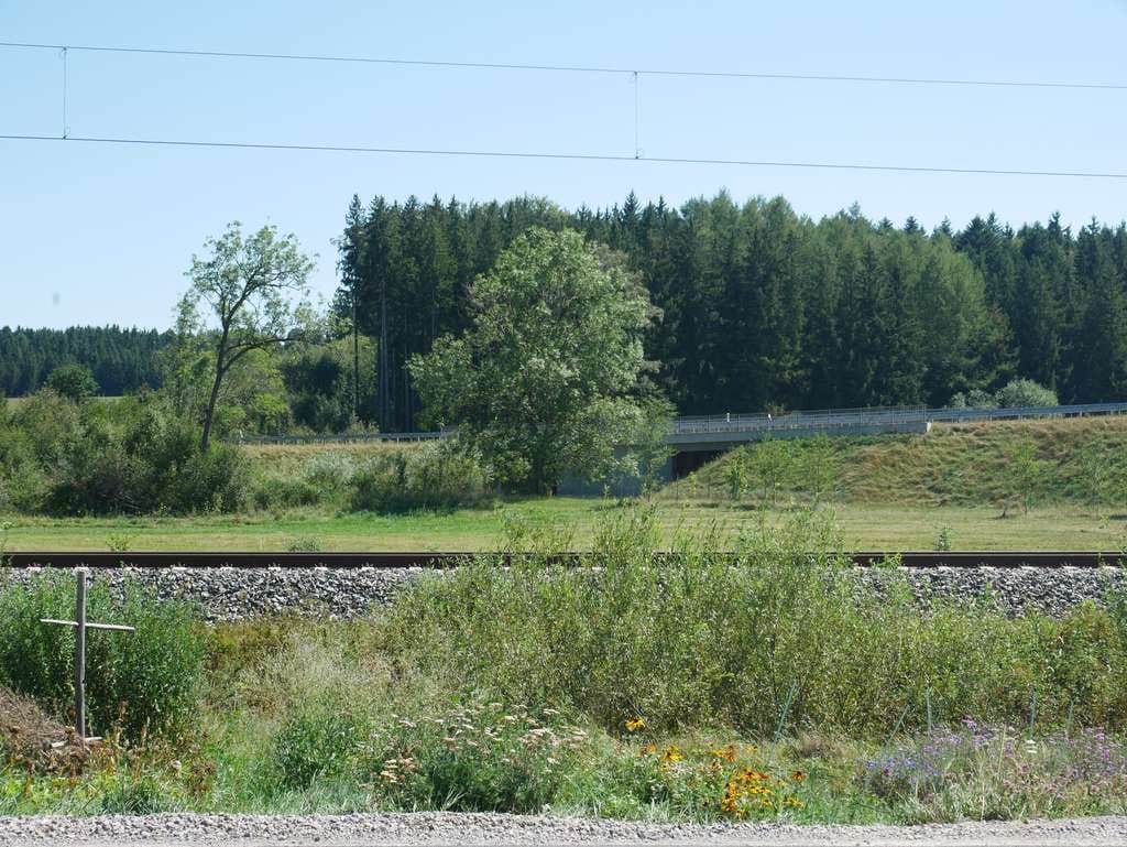 Immobilie in Sontheim - Ehemaliges Bauernhaus in Fastalleinlage zwischen Mindelheim und Memmingen im schönen Allgäu - Bild 4