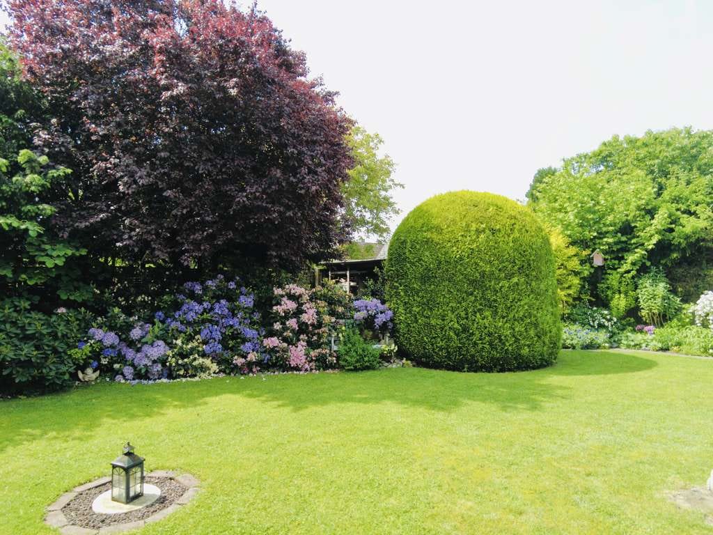 Immobilie in Westerrönfeld - Großzügiges Einfamilienhaus mit Perspektiven - Westerrönfeld / Rendsburg - Bild 1