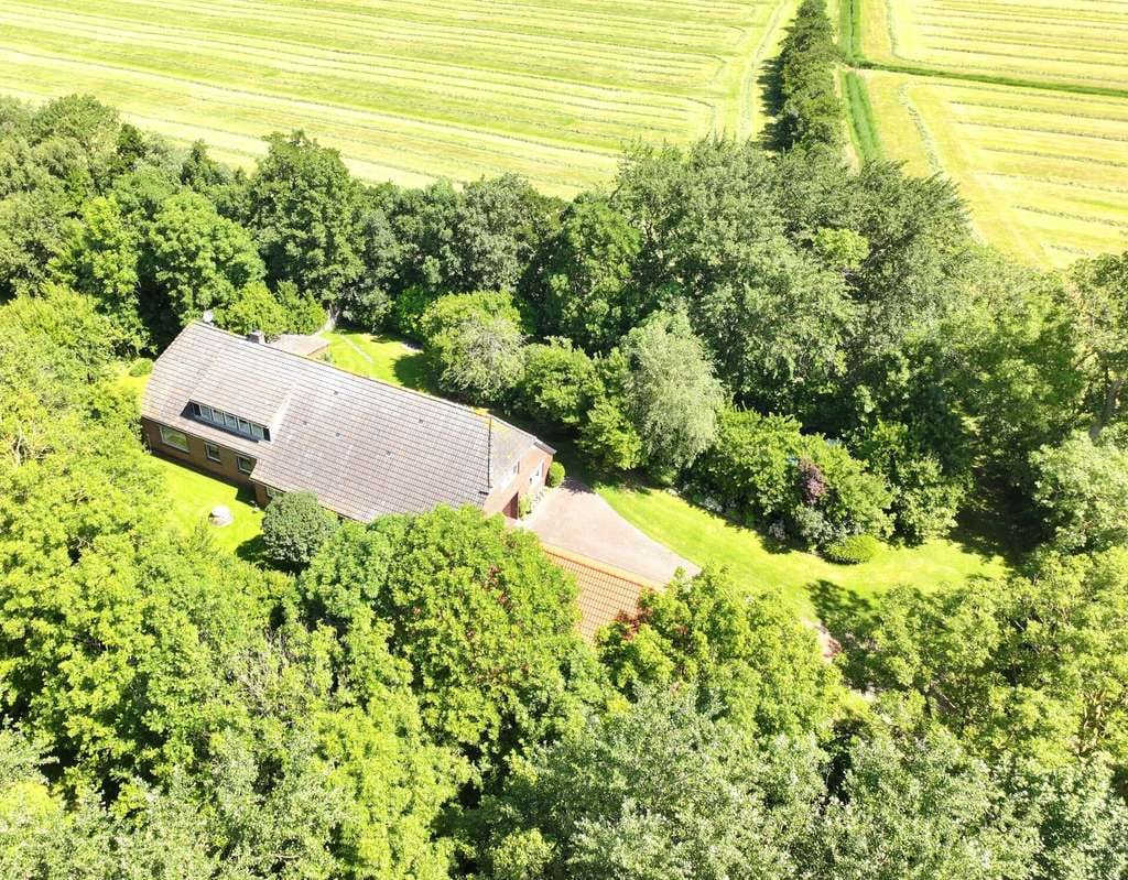 Immobilie in Butjadingen - Großes Anwesen mit Potenzial - in idyllischer Alleinlage unmittelbar am Deich! - Bild 4