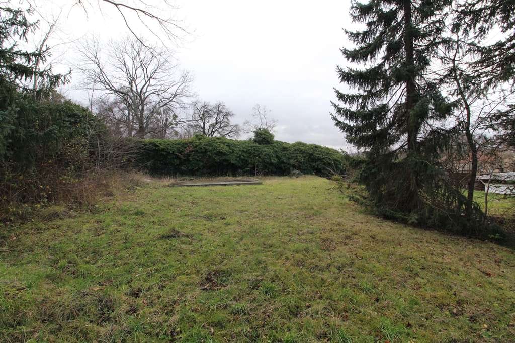 Immobilie in Bahretal - Großes Einfamilienhaus mit Einliegerwohnung in sehr ruhiger Lage - Bild 3