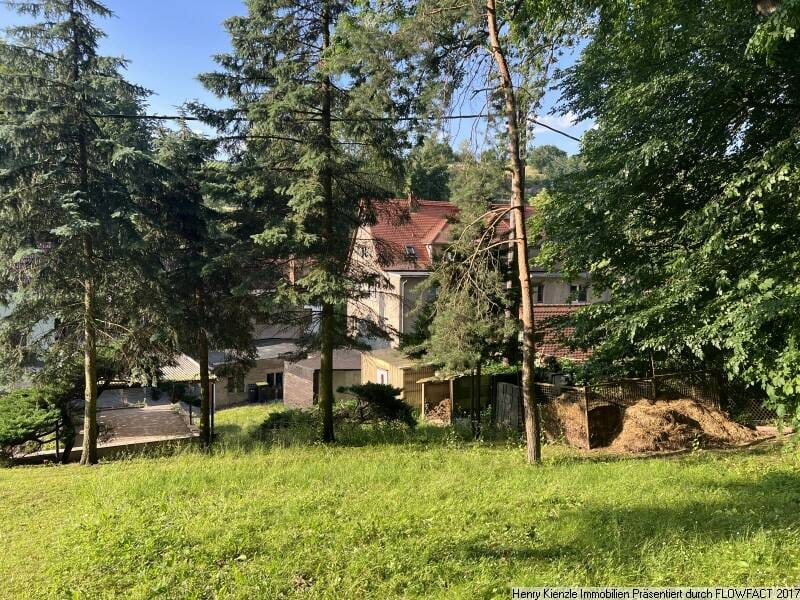 Immobilie in Nünchritz - Einfamilienhaus mit Garage, Nebengebäuden und überdachter Terrasse - Bild 4