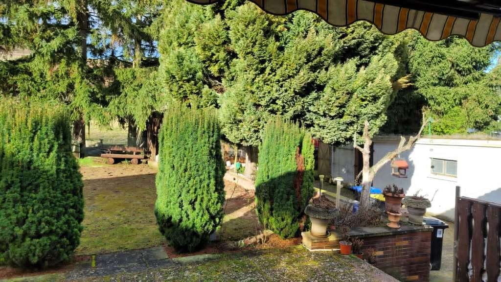 Immobilie in Neu-Bamberg - Top-Gelegenheit! Einfamilienhaus mit großem unverbaubarem Grundstück  in Neu-Bamberg zu verkaufen! - Bild 4