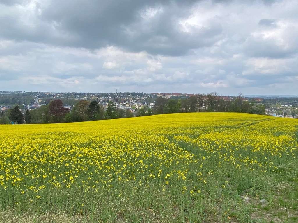 Immobilie in Stollberg/Erzgebirge - GENIESSEN SIE DIE TRAUMHAFTE AUSSICHT VON DER TERRASSE IHRES HAUSES! TELEFON 01714863595   - Bild 0