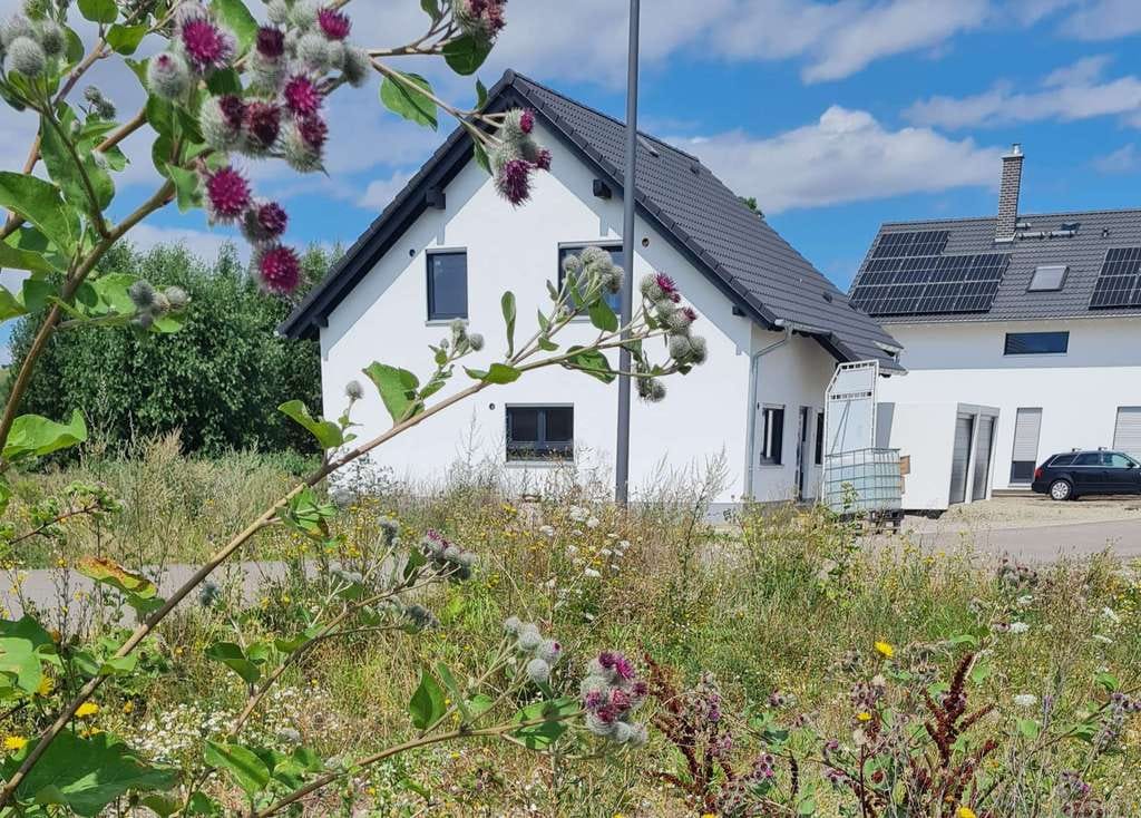 Immobilie in Zapfendorf - Neubau mit zwei Vollgeschossen-modernes Massivhaus auf 500m² Grundstück in Zapfendorf bei Bamberg. - Bild 4