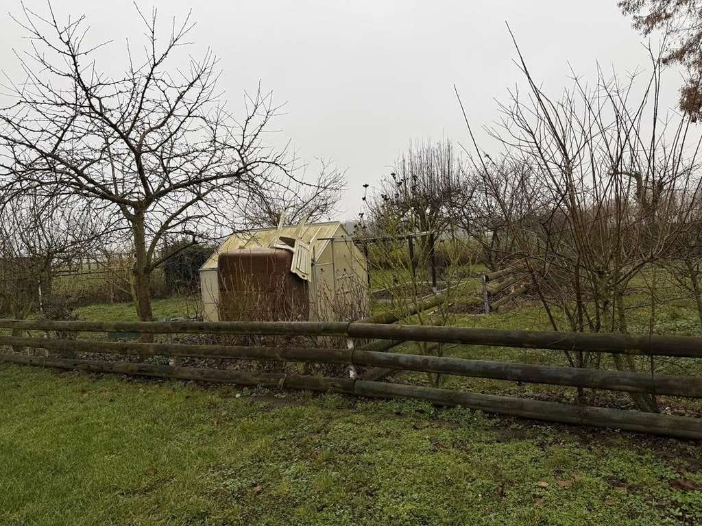 Immobilie in Alt Tucheband - Alleinlage mit großem Garten - ein Traum für Stadtflüchter - Bild 4