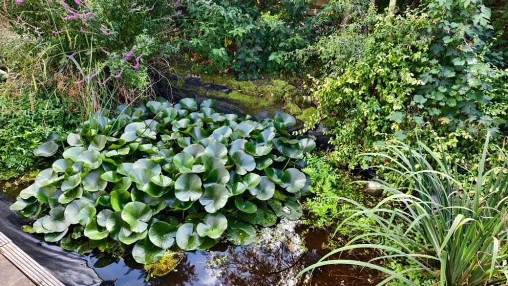Immobilie in Uetze - Uetze - Eltze - Wo Wohnträume wahr werden: Perfekt für Paare und das erste Familienglück - Bild 2