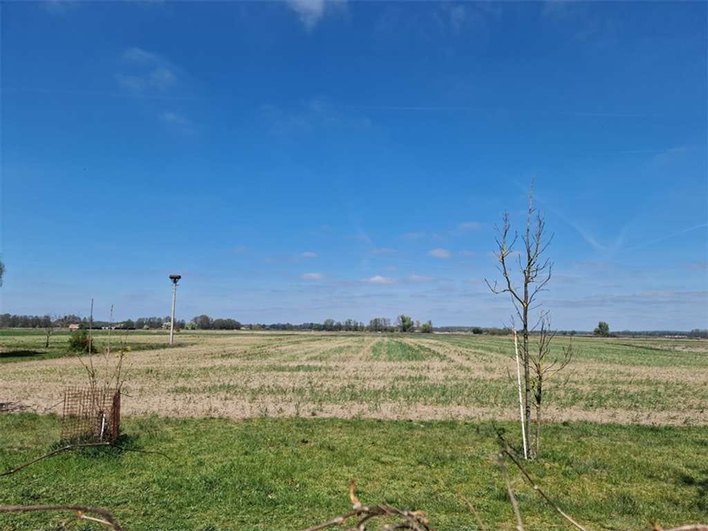 Immobilie in Kloster Lehnin - Platz für Familie und tierische Freunde - Einfamilienhaus mit Scheune und Garten - Bild 0