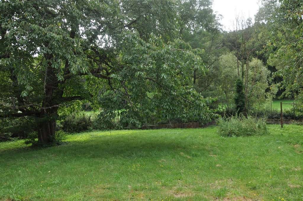 Immobilie in Kall - Stattliche 1950er Jahre Villa, schöner Altbaumbestand auf 1500 m² Grundstücksareal am Kallbach  - Bild 2