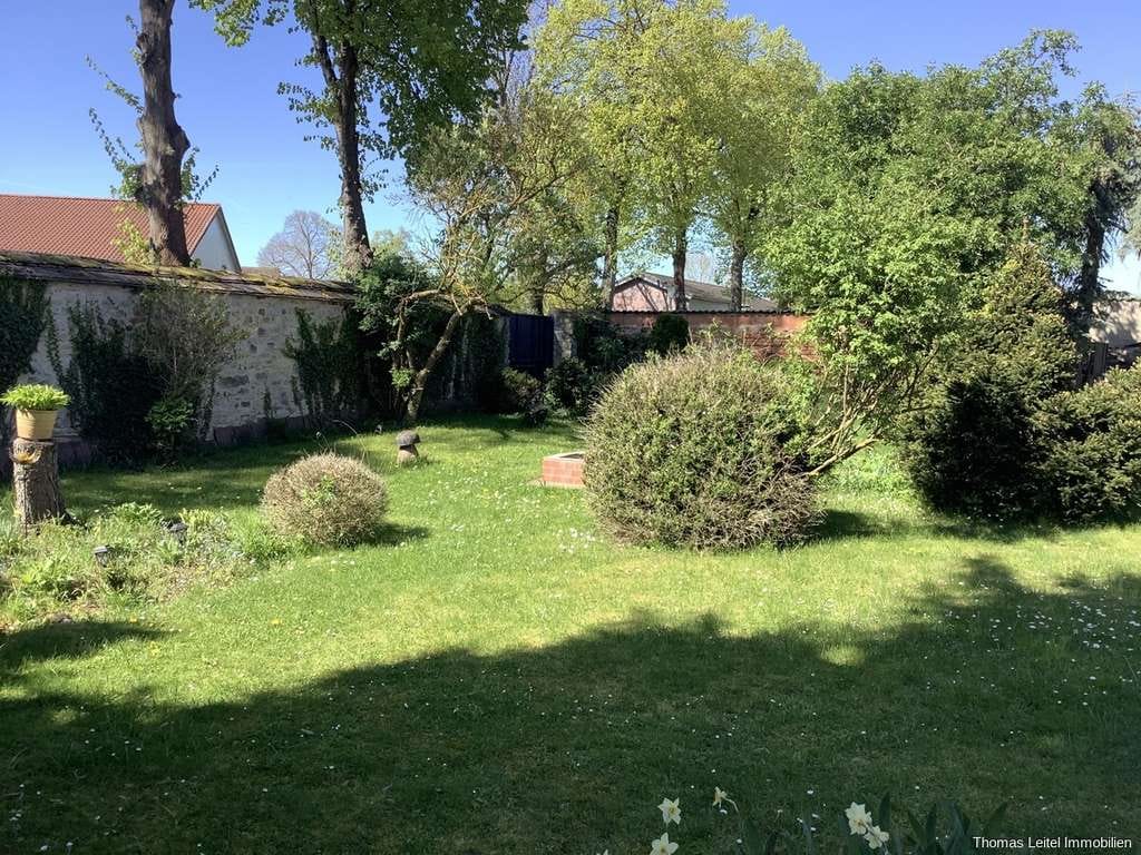 Immobilie in Wanzleben-Börde - Viel Platz für Hund und Katz! - Bild 2