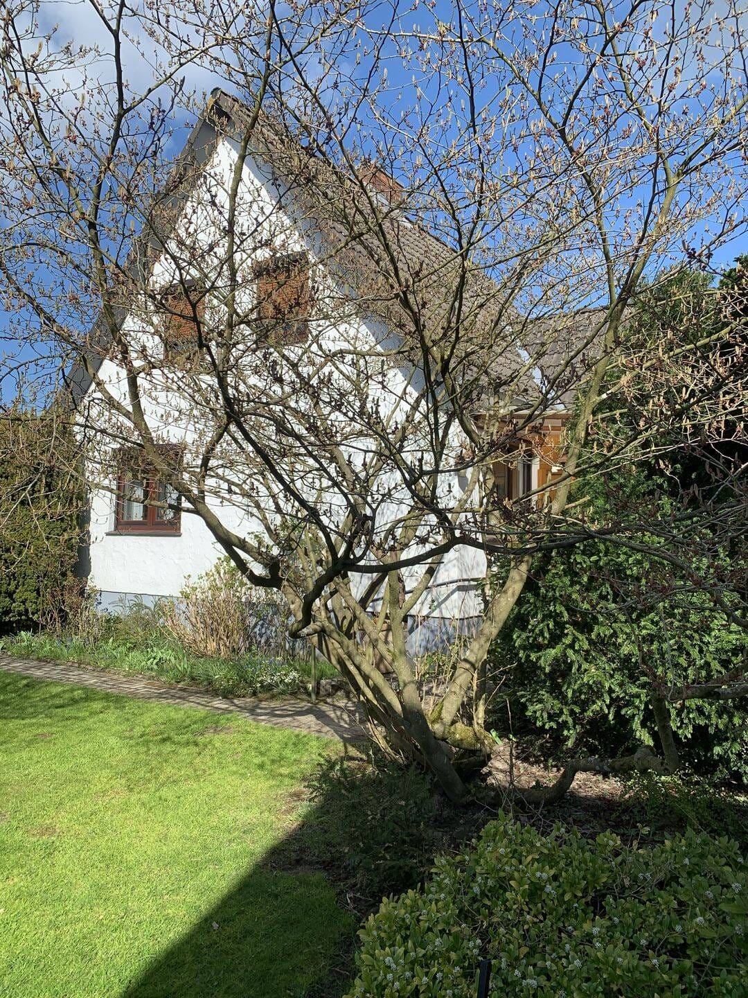 Immobilie in Hoisdorf - Solides Handwerkerhaus auf Traumgrundstück - Bild 0