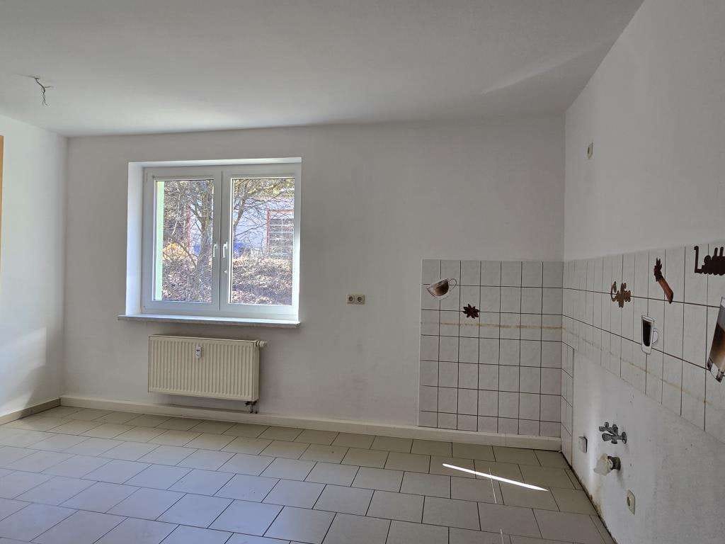 Immobilie in Wurzbach - Mehrfamilienhaus mit 8 Einheiten, Gewerbehalle & 2.500m² Teich – vielseitiges Immobilienpaket - Bild 4