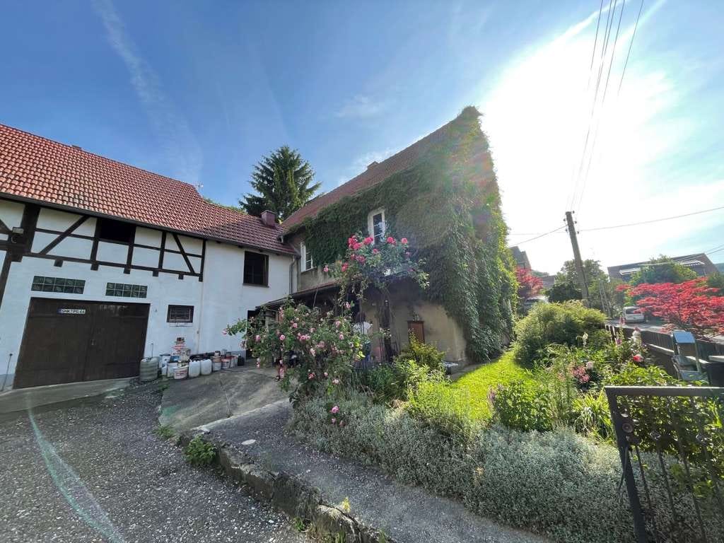 Immobilie in Altenberga - Charmantes Bauernhaus mit solidem Nebengelass in Altenberga - Bild 0
