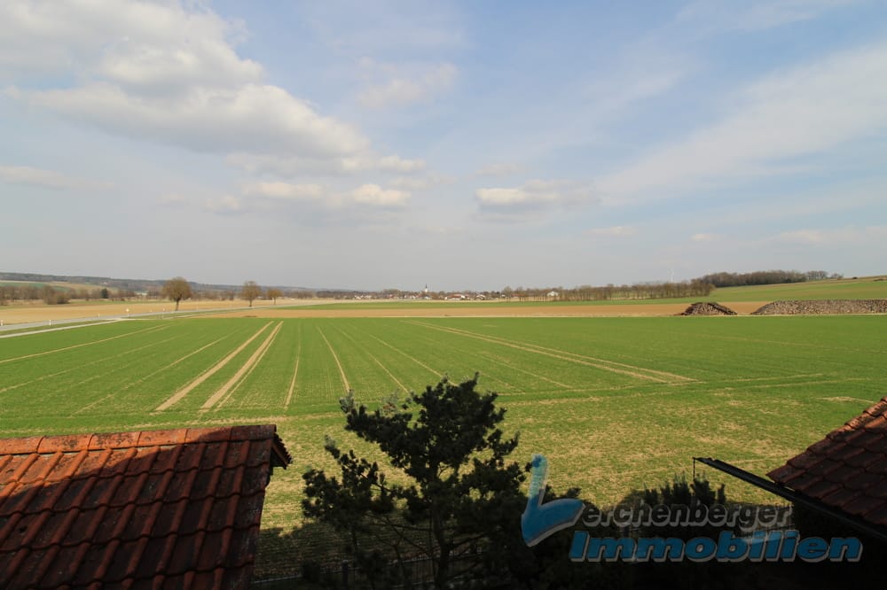 Immobilie in Reisbach - Einfamilienhaus in ruhiger Aussichtslage Nähe Reisbach - Bild 4