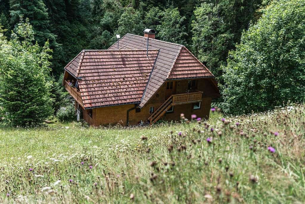 Immobilie in Breitnau - FREISTEHENDES HAUS IM SCHWARZWALD MITTEN IN DER NATUR - Mit Bach, Wiese & Wald + Gewerbepotential - Bild 0