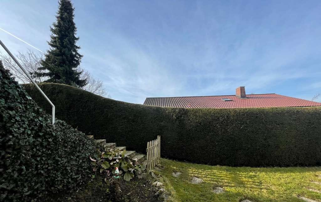 Immobilie in Au - Ein Haus - viele Lebensmodelle: Wohnen, Arbeiten und Generationen verbinden in Au bei Freiburg - Bild 3