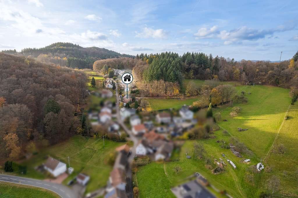 Immobilie in Heiligkreuzsteinach - Charmantes Einfamilienhaus mit Einliegerwohnung- naturnahes Wohnen in ruhiger Hanglage - Bild 4