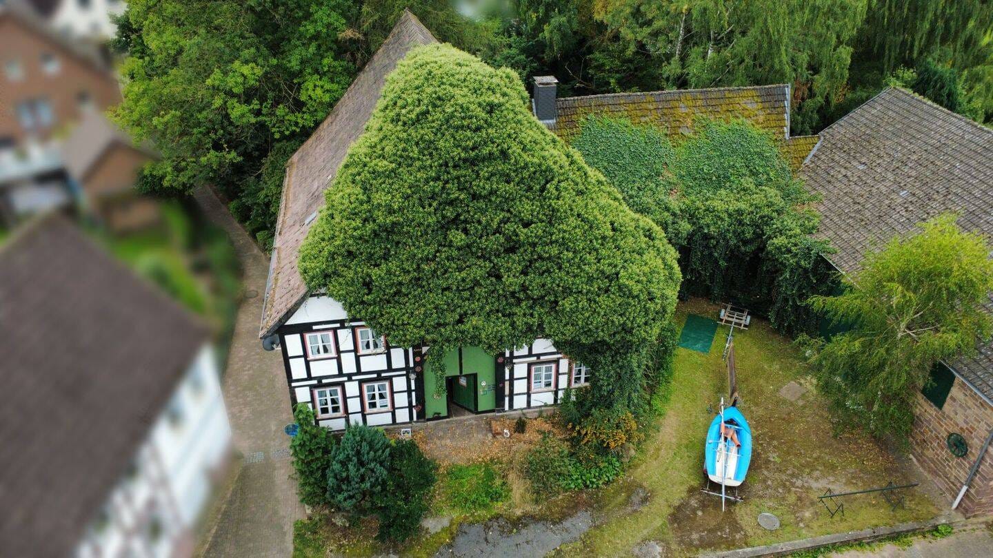 Immobilie in Lauenförde - Historischer Resthof mit viel Potenzial und parkähnlichem Garten in Lauenförde - Bild 1