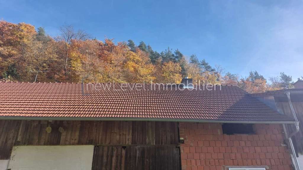 Immobilie in Winzer - Charmante Hofstelle mit viel Potenzial & traumhaftem Grundstück - Bild 3