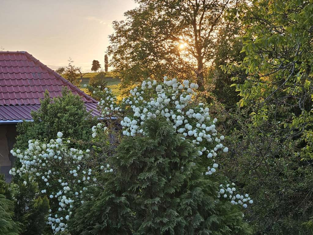 Immobilie in Greußen - Unabhängigkeit trifft Idylle: flexibles Heizsystem inklusive! - Bild 1