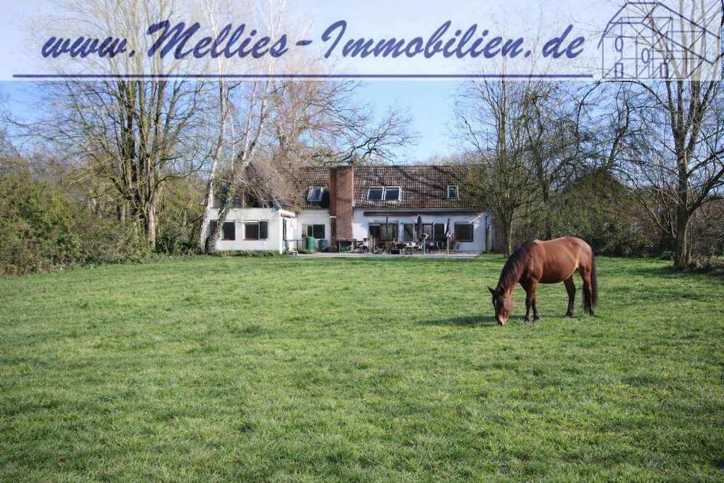 Immobilie in Gerdau - Ein Haus wie aus einem Roman in Bohlsen - Bild 0