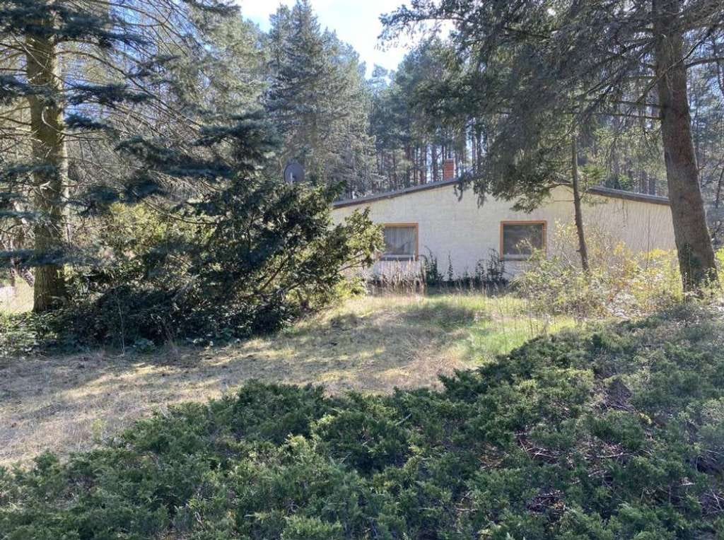 Immobilie in Borkheide - 1.722 m² Waldgrundstück mit zwei Häusern – Wohnen, Vermieten oder Wochenenddomizil - Bild 0