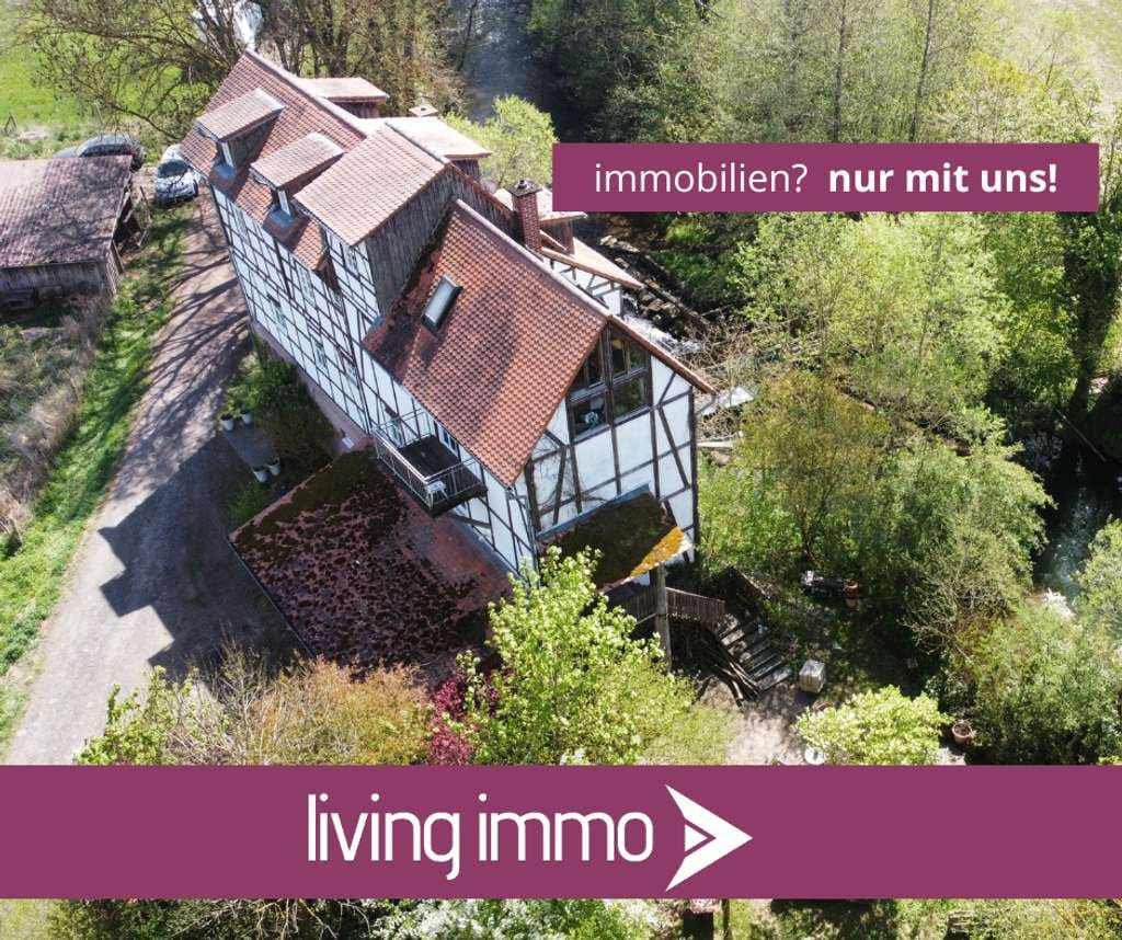 Immobilie in Wohratal - Naturparadies im Grünen – viel Platz für Tiere & autarkes Leben - Bild 0